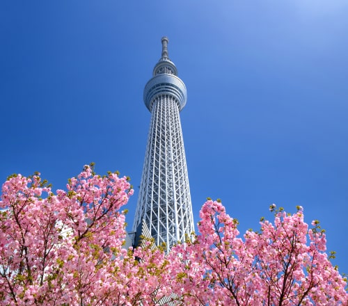 東京スカイツリー