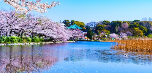 上野恩賜公園