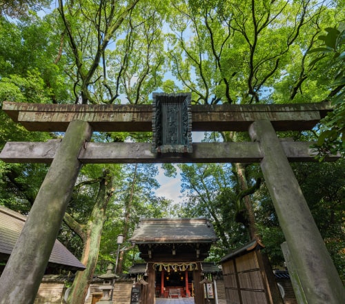 赤坂氷川神社